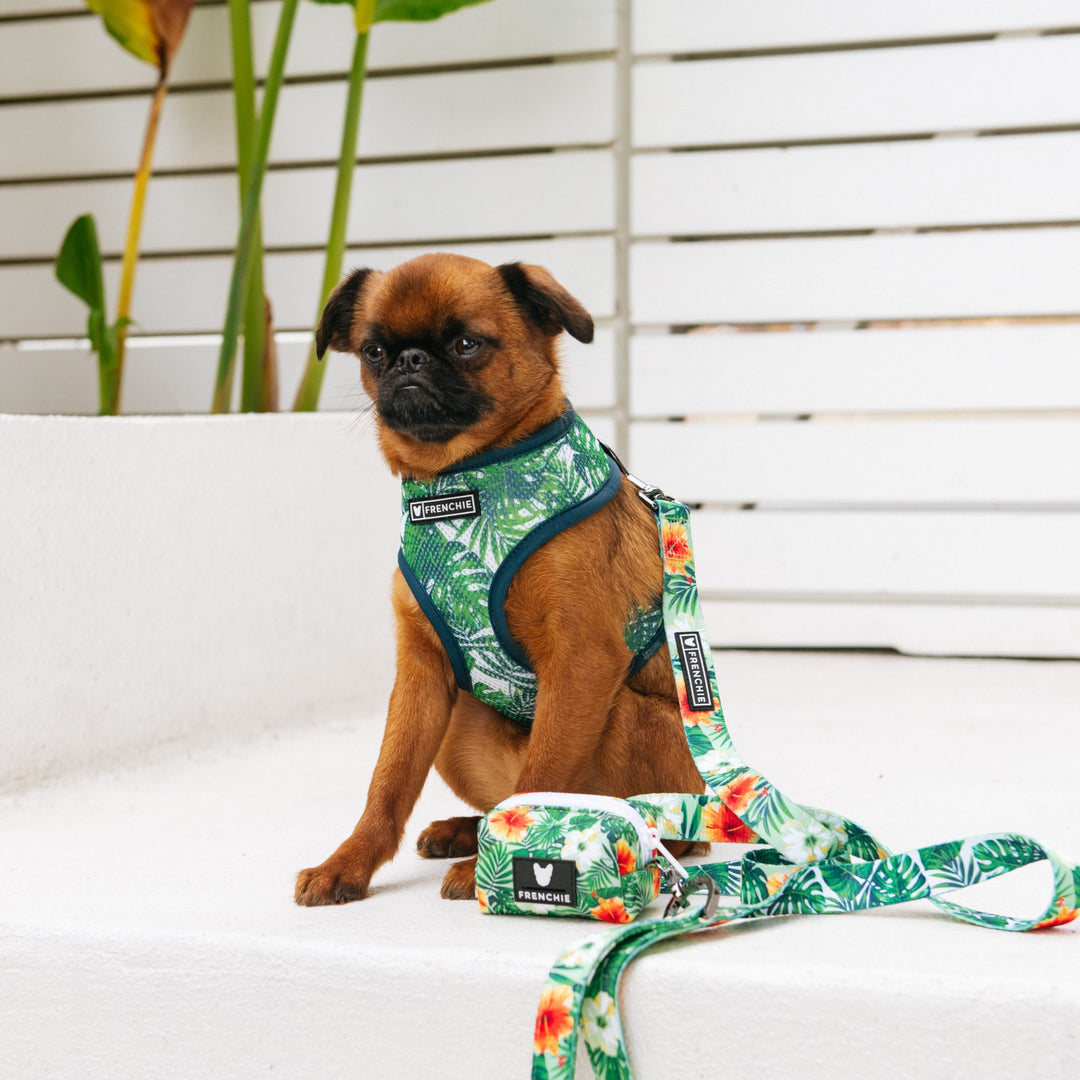 Frenchie Poo Bag Holder - Hawaiian Shirt