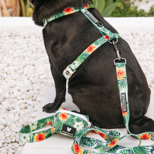 Frenchie Poo Bag Holder - Hawaiian Shirt