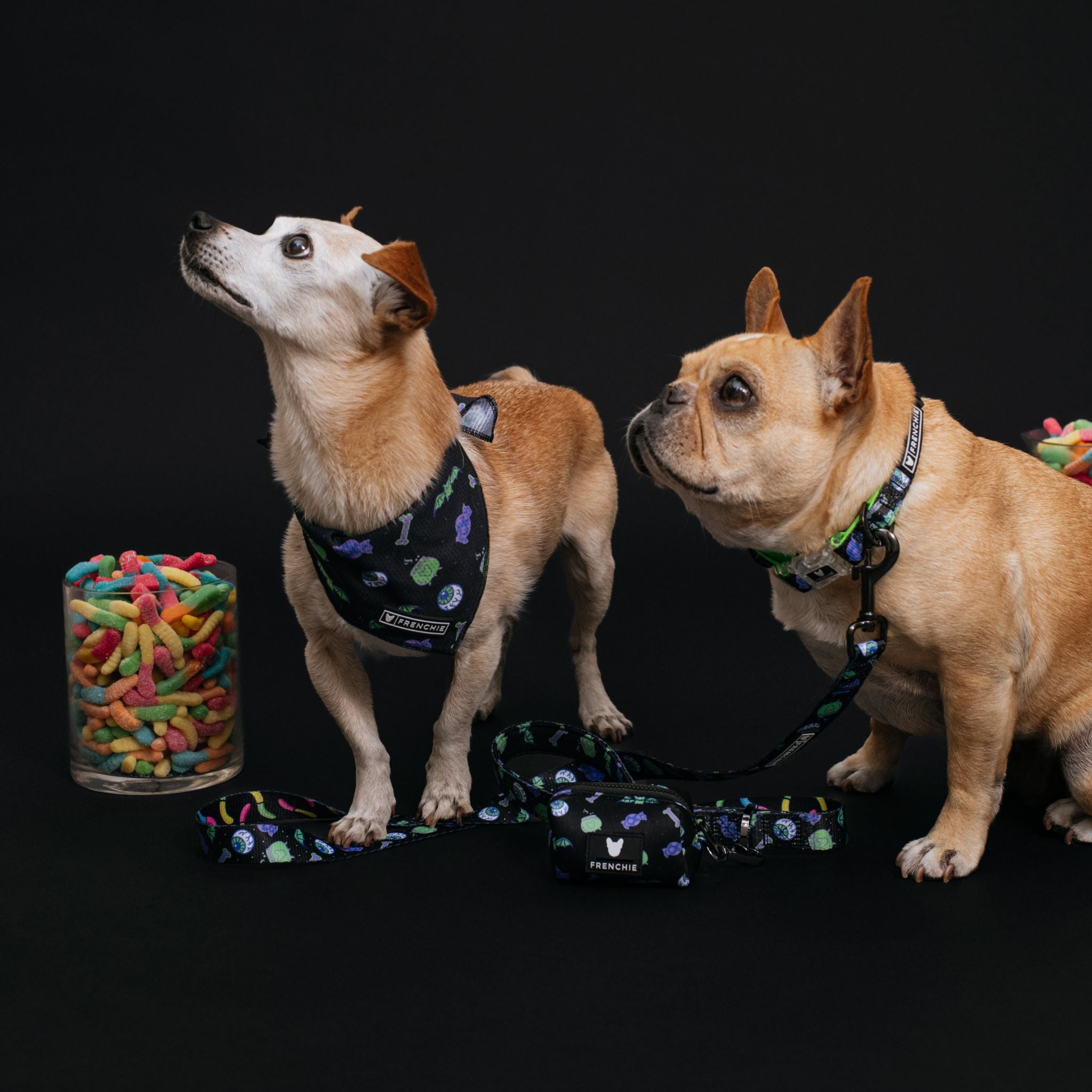 Frenchie cooling hot sale bandana