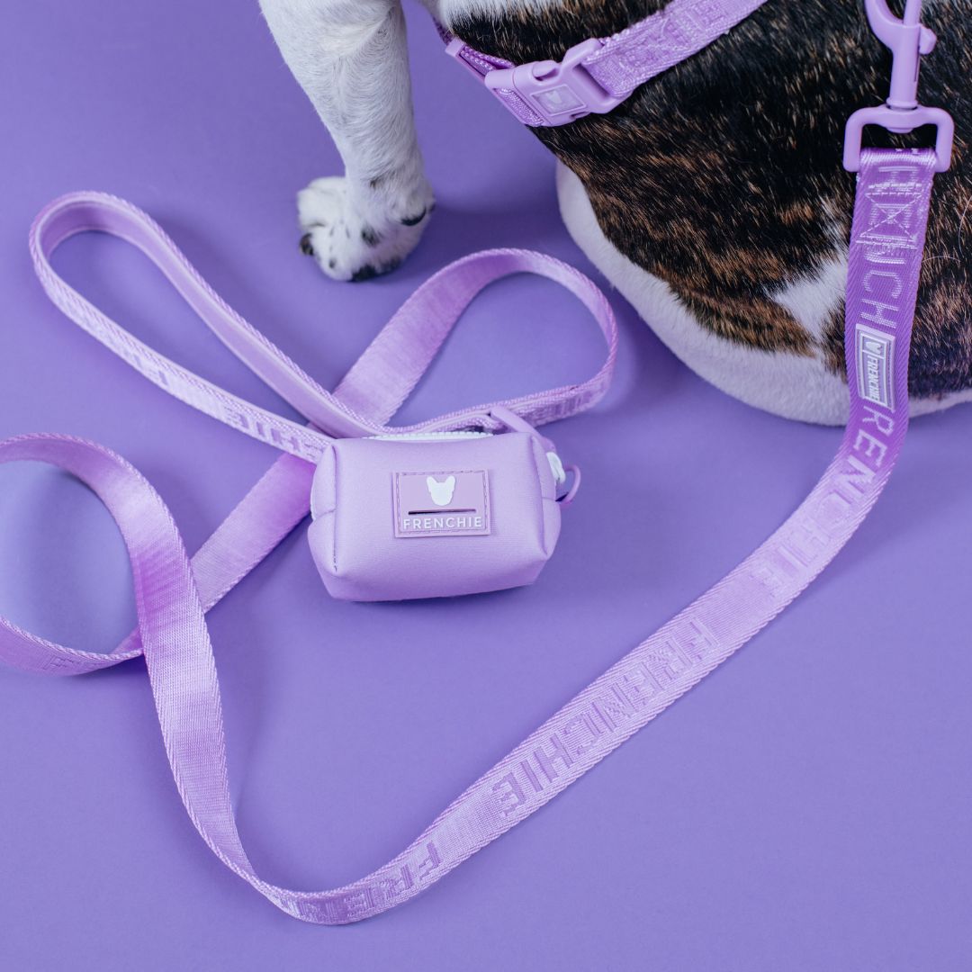 Frenchie Comfort Leash - Lavender