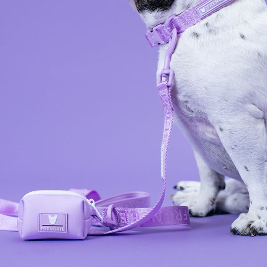 Frenchie Poo Bag Holder - Lavender