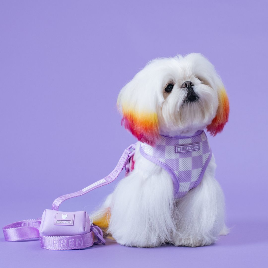 Frenchie Duo Reversible Harness - Lavender