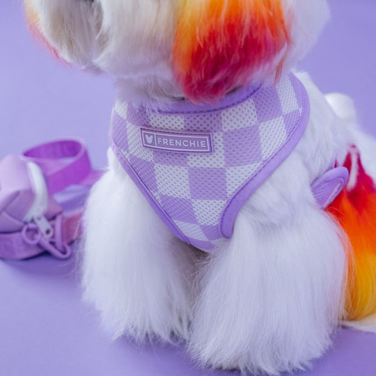 Frenchie Duo Reversible Harness - Lavender