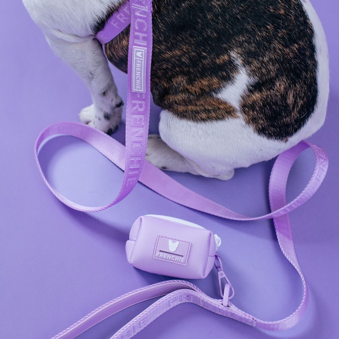 Frenchie Comfort Leash - Lavender