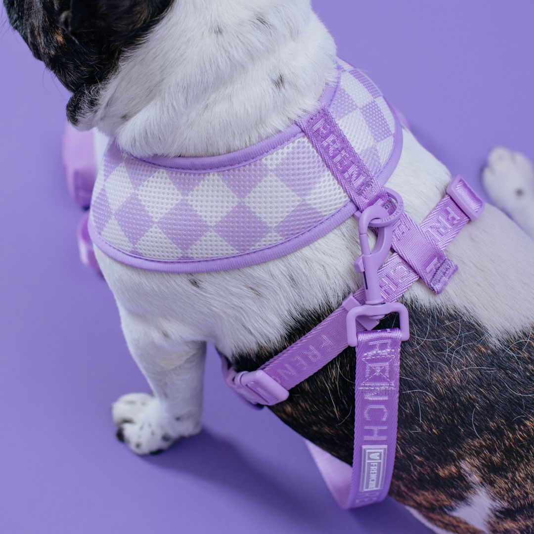 Frenchie Duo Reversible Harness - Lavender