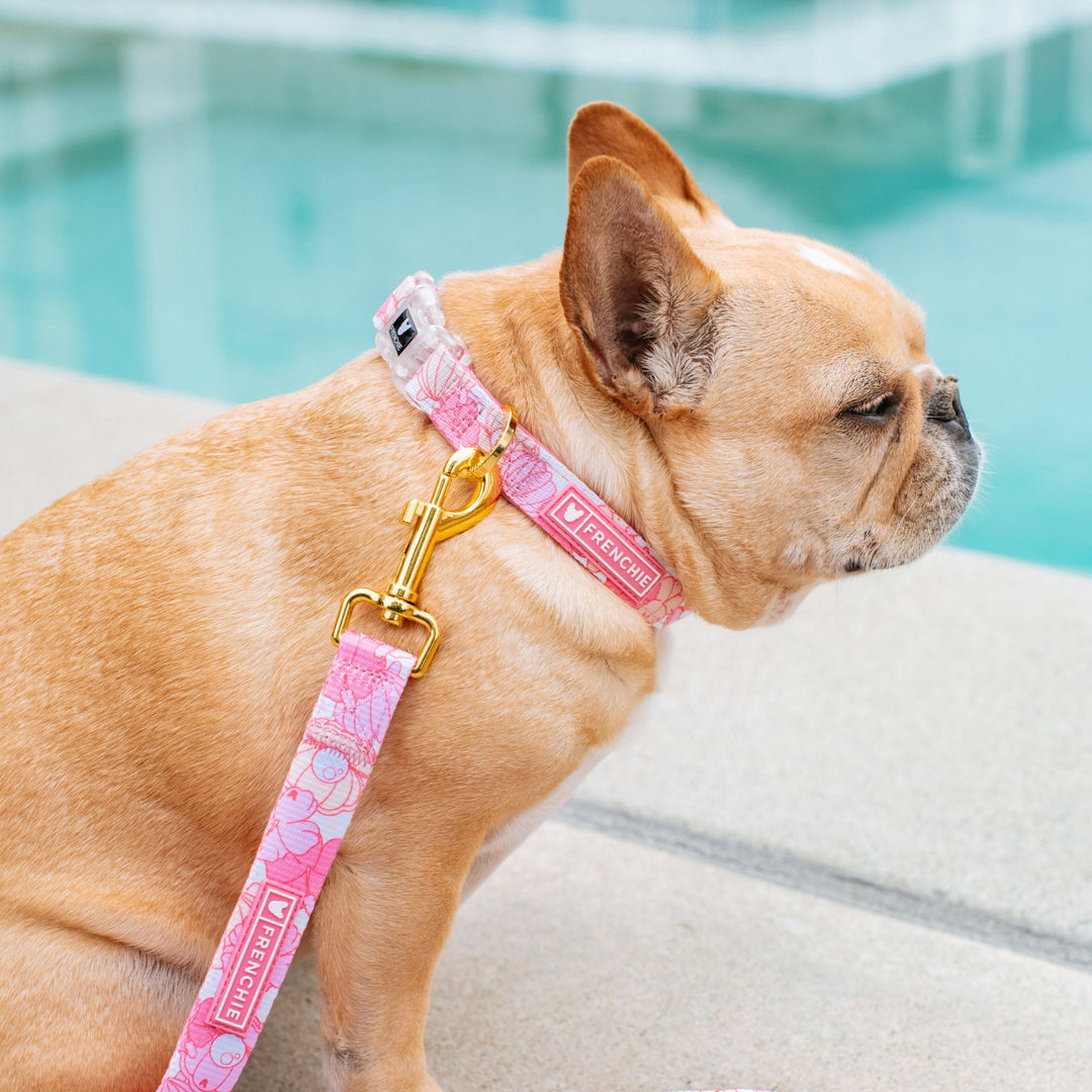Frenchie Comfort Collar - Maui Babe