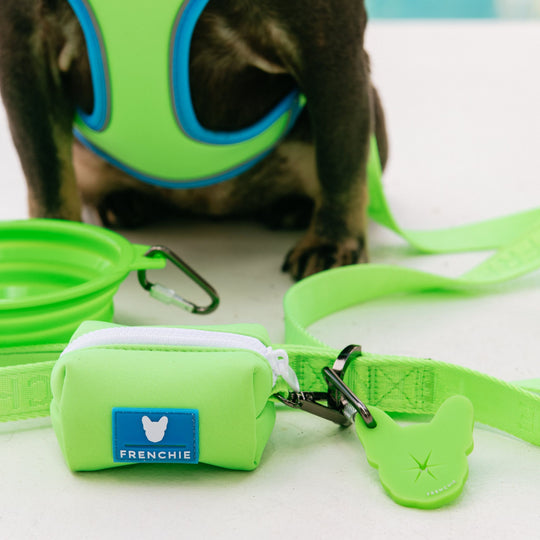 Frenchie Duo Reversible Harness - Neon Green