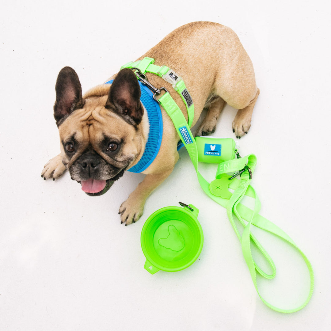 Frenchie Duo Reversible Harness - Neon Green