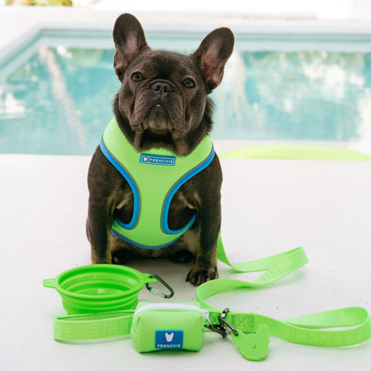 Frenchie Duo Reversible Harness - Neon Green