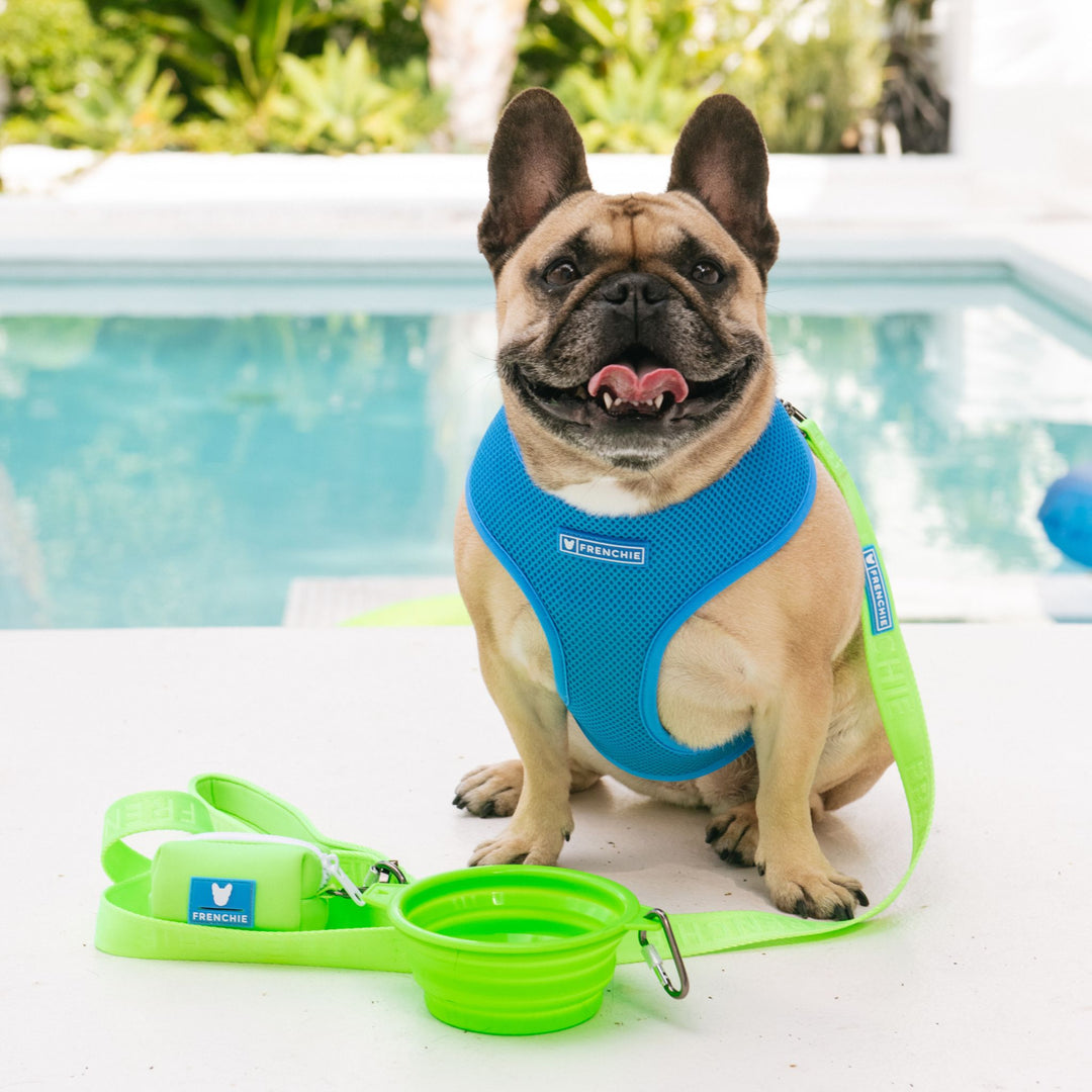 Frenchie Duo Reversible Harness - Neon Green