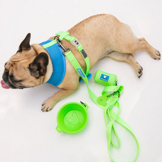 Frenchie Duo Reversible Harness - Neon Green