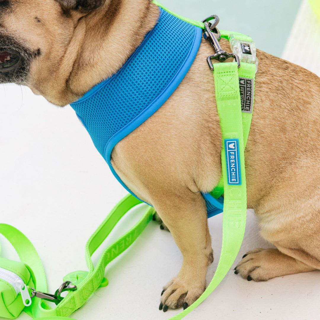 Frenchie Duo Reversible Harness - Neon Green