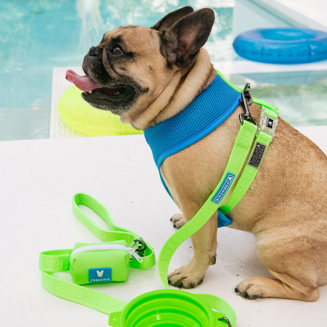 Frenchie Duo Reversible Harness - Neon Green