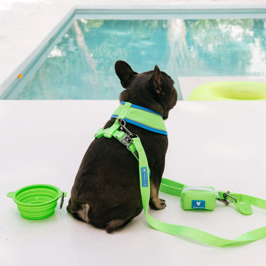 Frenchie Duo Reversible Harness - Neon Green