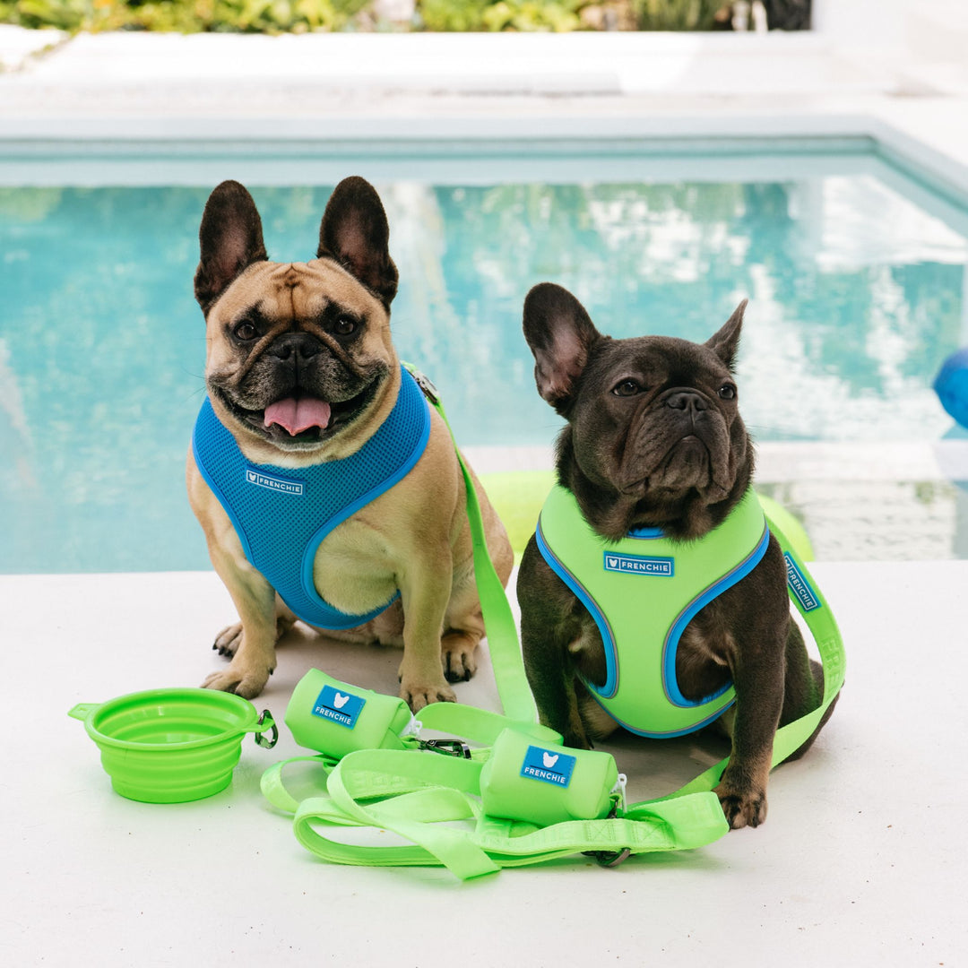 Frenchie Duo Reversible Harness - Neon Green