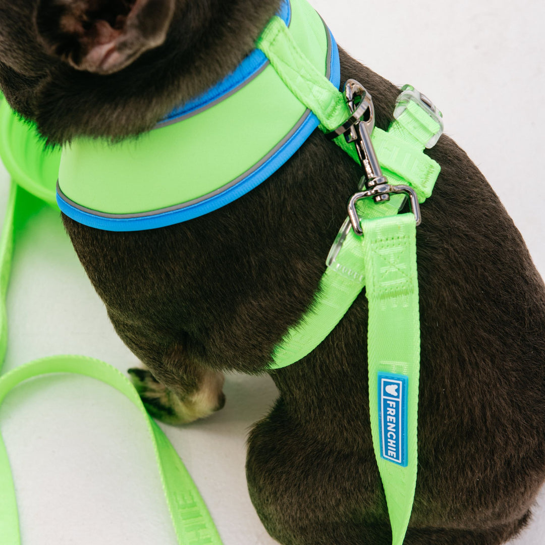 Frenchie Duo Reversible Harness - Neon Green