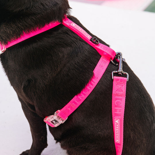 Frenchie Strap Harness - Neon Pink