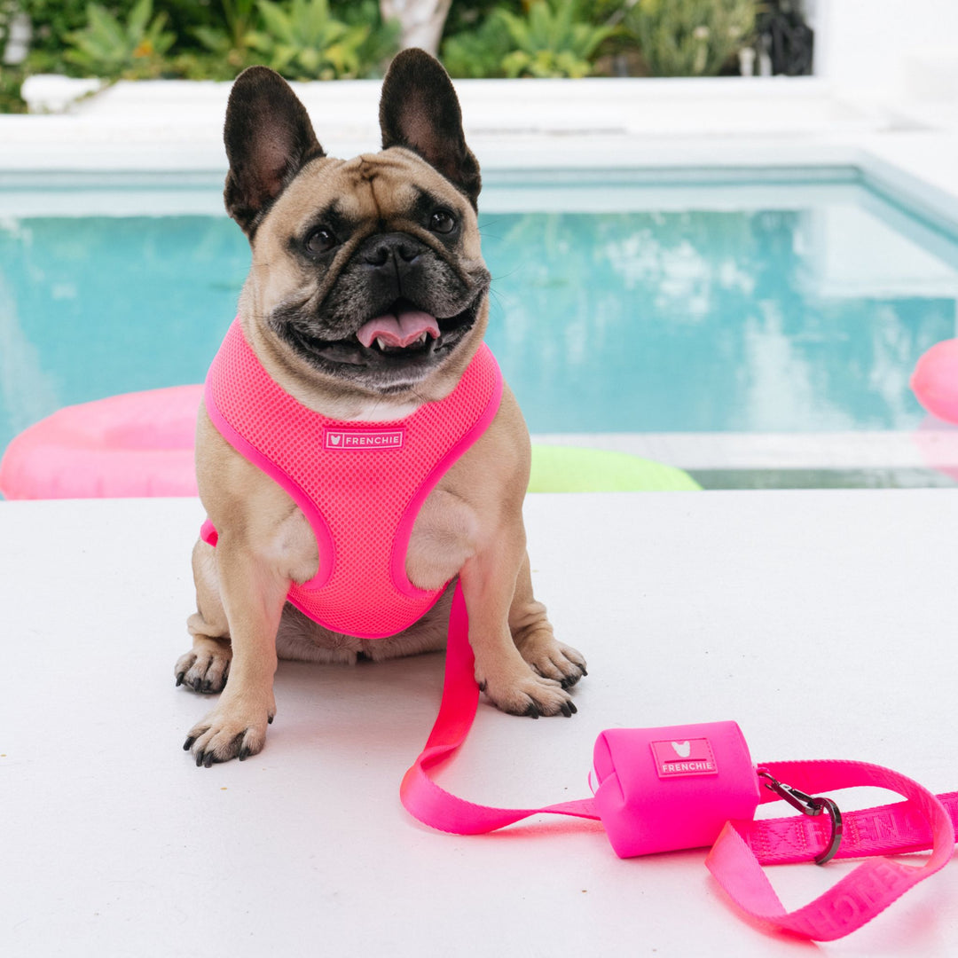 Frenchie Comfort Leash - Neon Pink