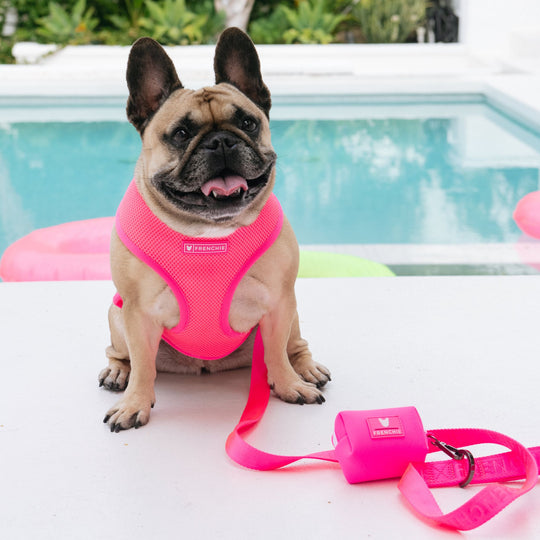 Frenchie Poo Bag Holder - Neon Pink