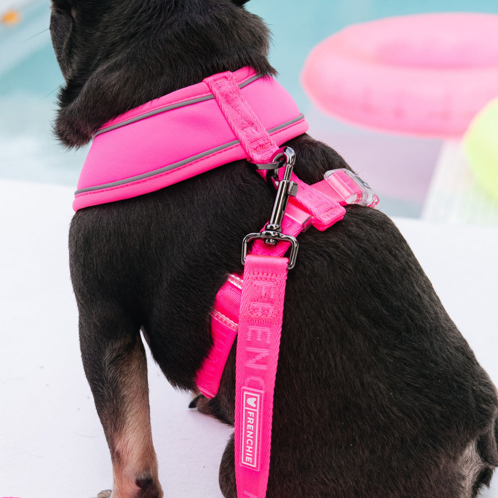 Frenchie Comfort Leash - Neon Pink
