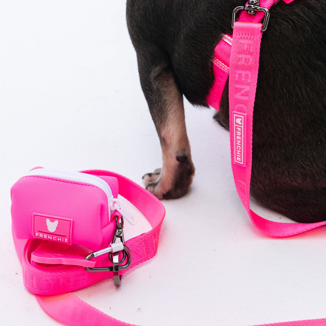 Frenchie Comfort Leash - Neon Pink