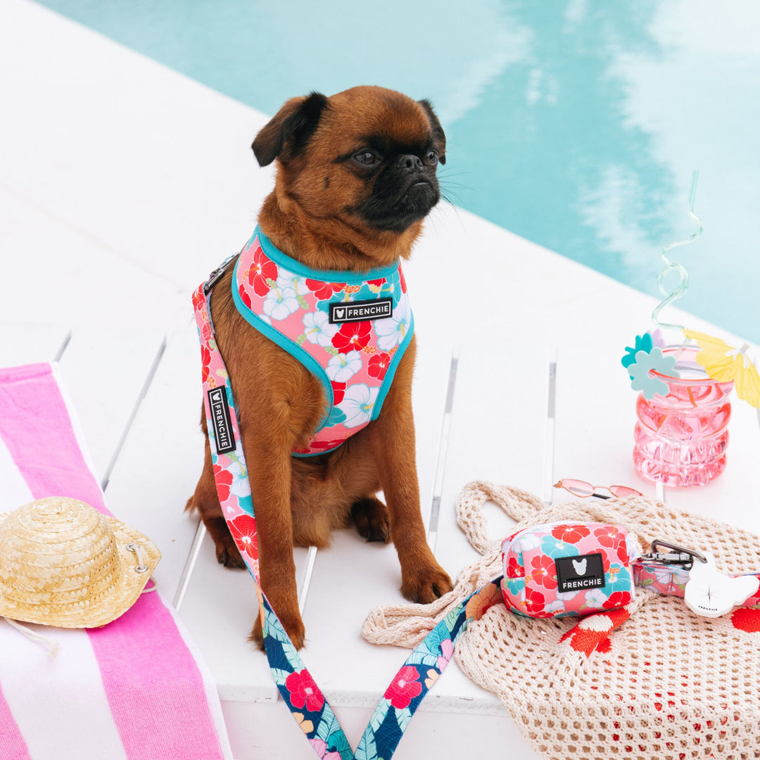 Frenchie Duo Reversible Harness - Paradise