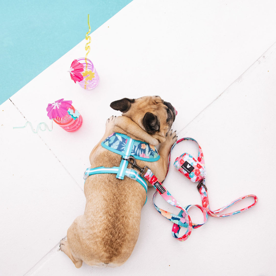 Frenchie Duo Reversible Harness - Paradise