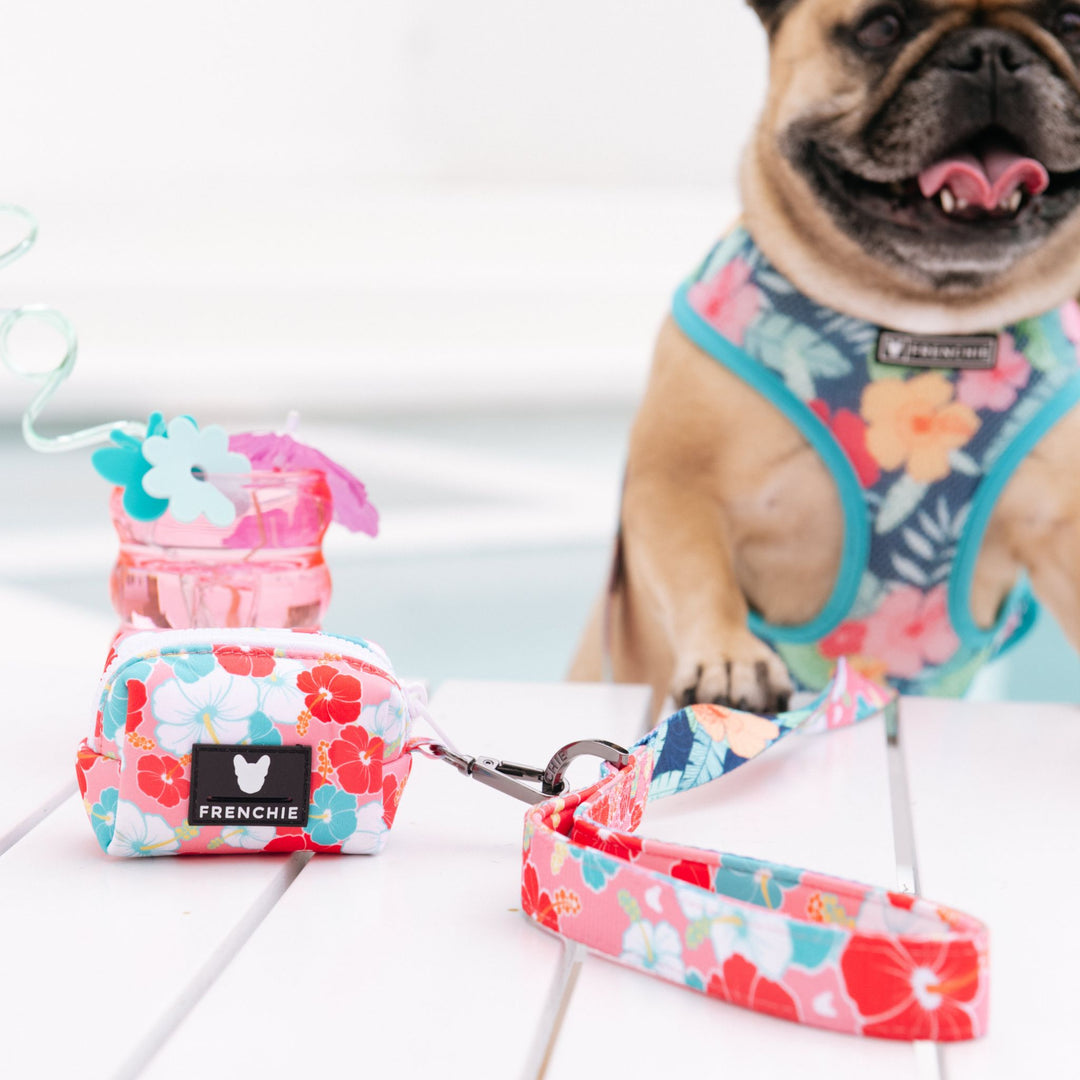 Frenchie Duo Reversible Harness - Paradise