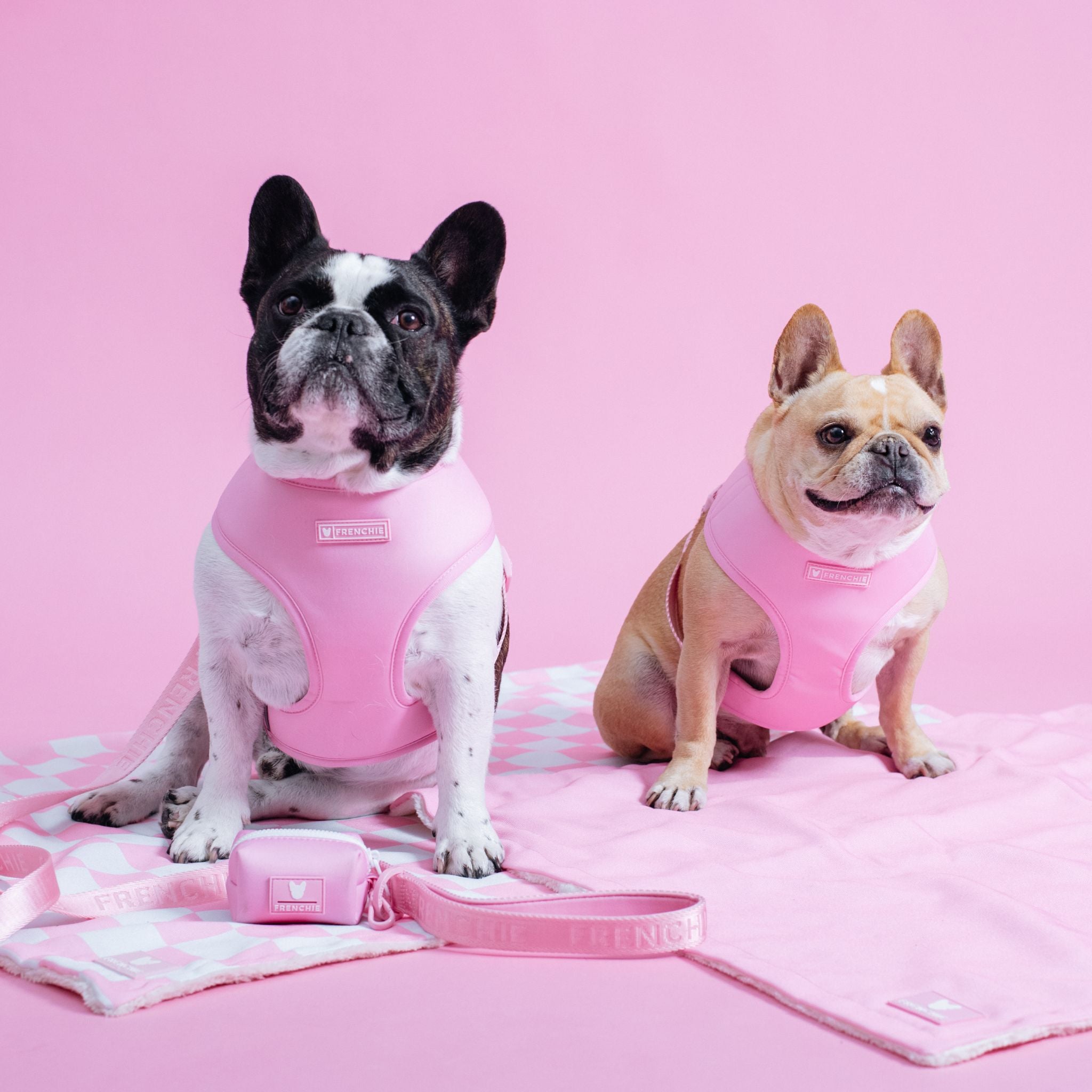 EVCR • Pink 2024 Gym Athletic Stretch Leggings Frenchie French Bulldog Dog Print