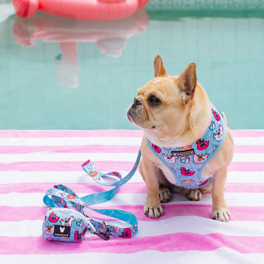 Frenchie Poo Bag Holder - Pool Party