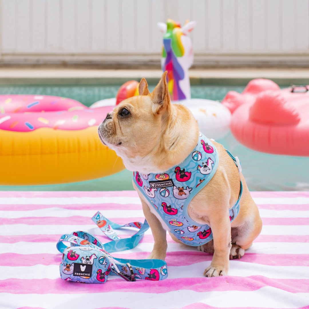 Frenchie Comfort Leash - Pool Party