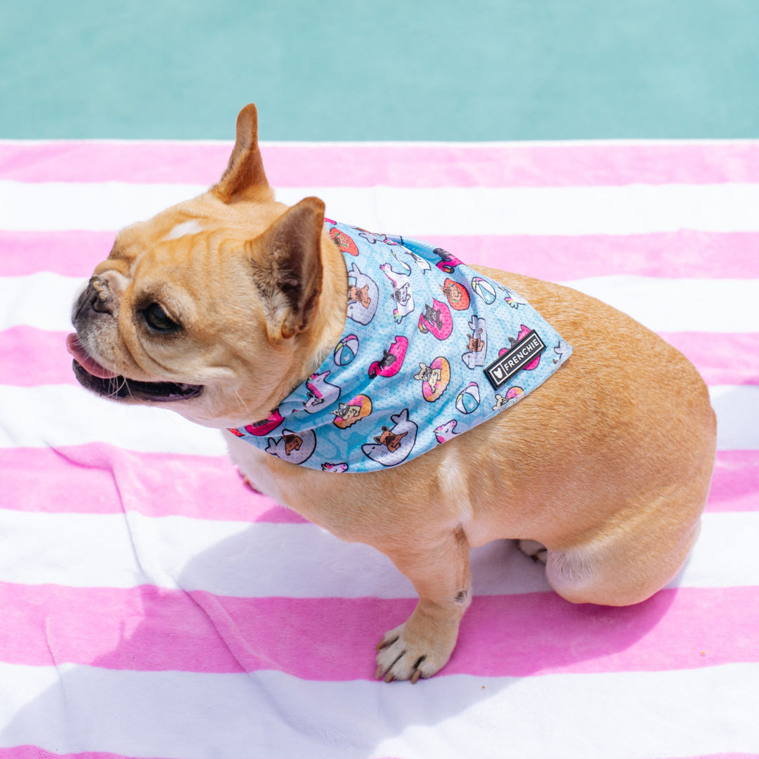 Frenchie Cooling Bandana - Pool Party