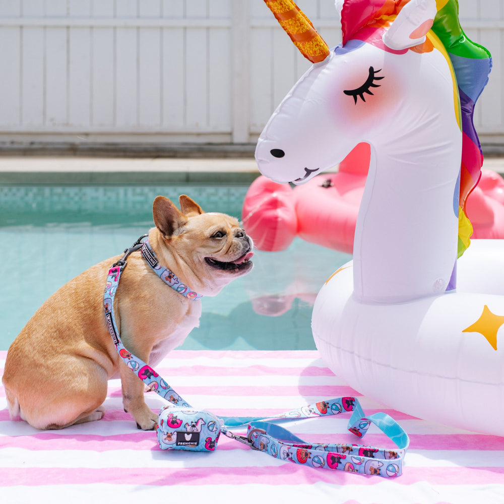 Frenchie Comfort Leash - Pool Party