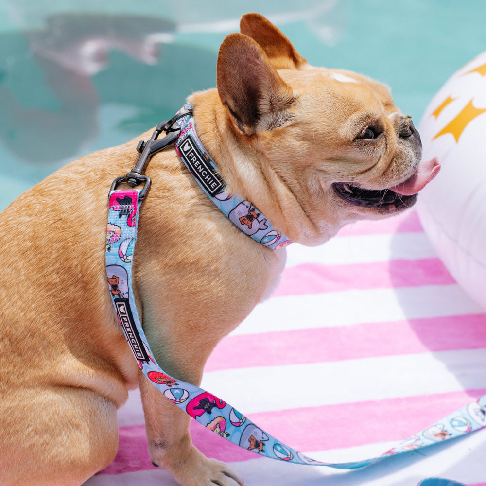 Frenchie Comfort Collar - Pool Party
