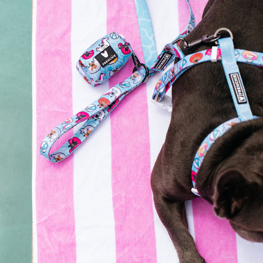 Frenchie Comfort Leash - Pool Party