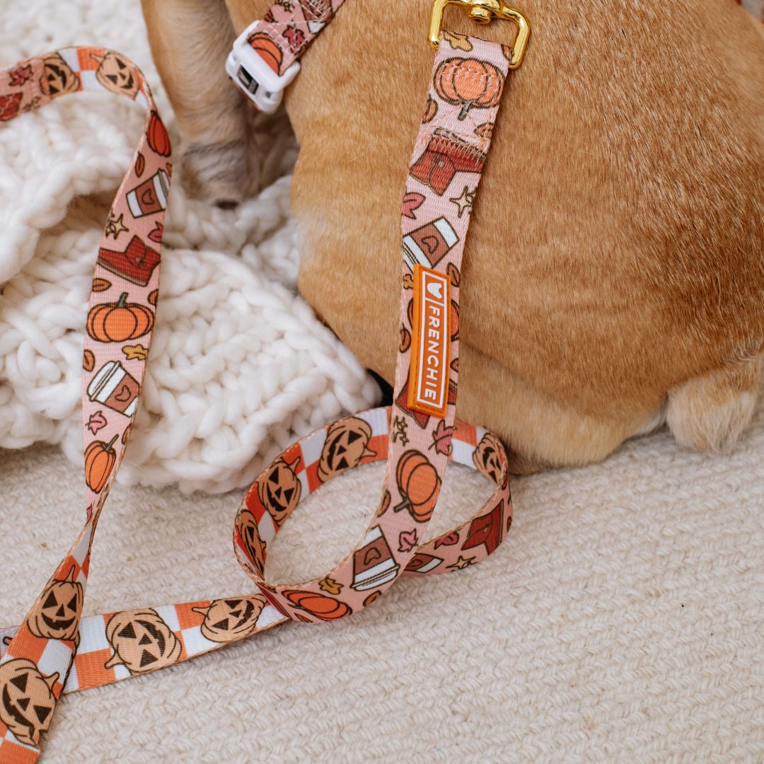 Frenchie Comfort Leash - Pumpkin Spice Latte