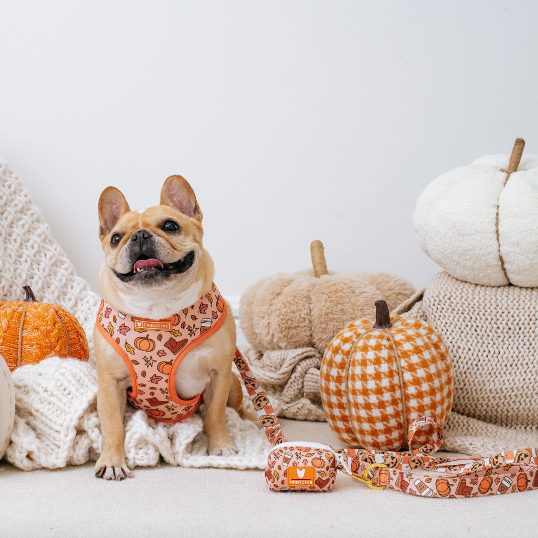 Frenchie Poo Bag Holder - Pumpkin Spice Latte