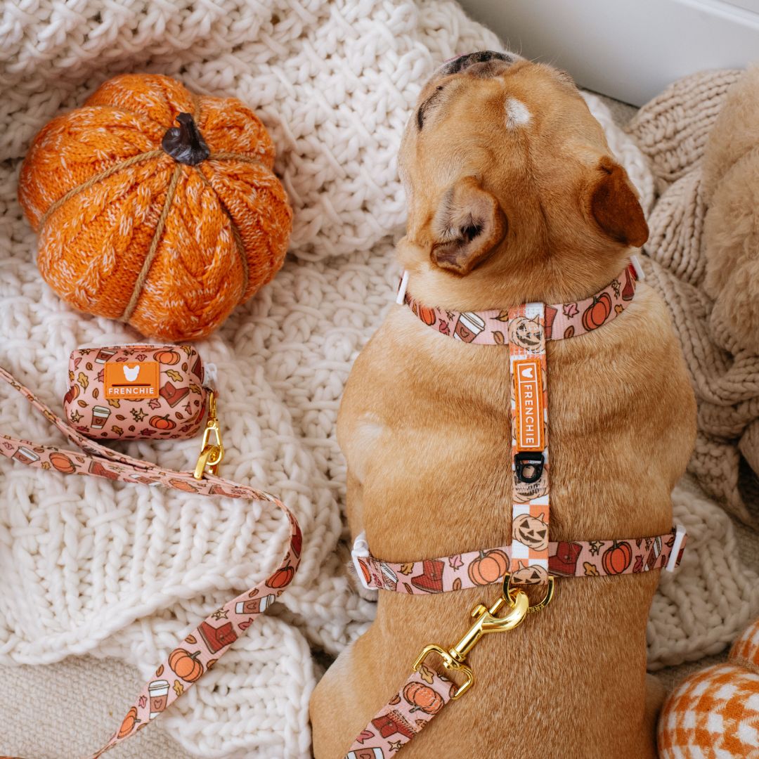 Frenchie Poo Bag Holder - Pumpkin Spice Latte