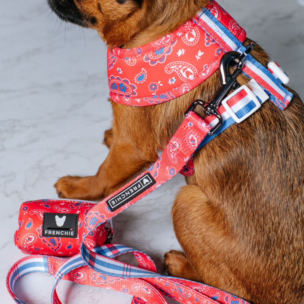 Frenchie Poo Bag Holder - Red, White, and Paisley