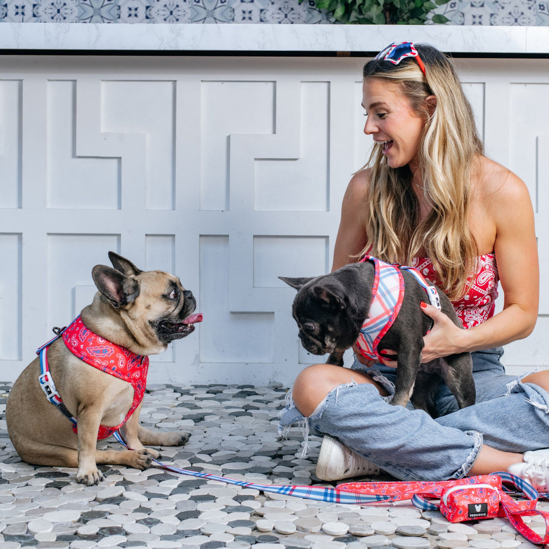 Frenchie Duo Reversible Harness - Red, White, and Paisley