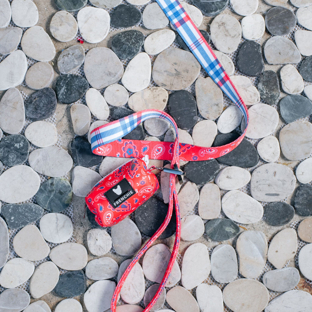 Frenchie Comfort Leash - Red, White, and Paisley