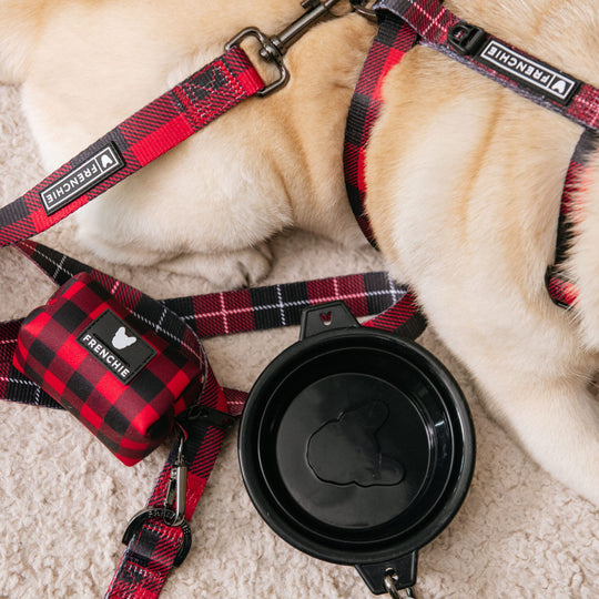 Frenchie Strap Harness - Red and Black Plaid