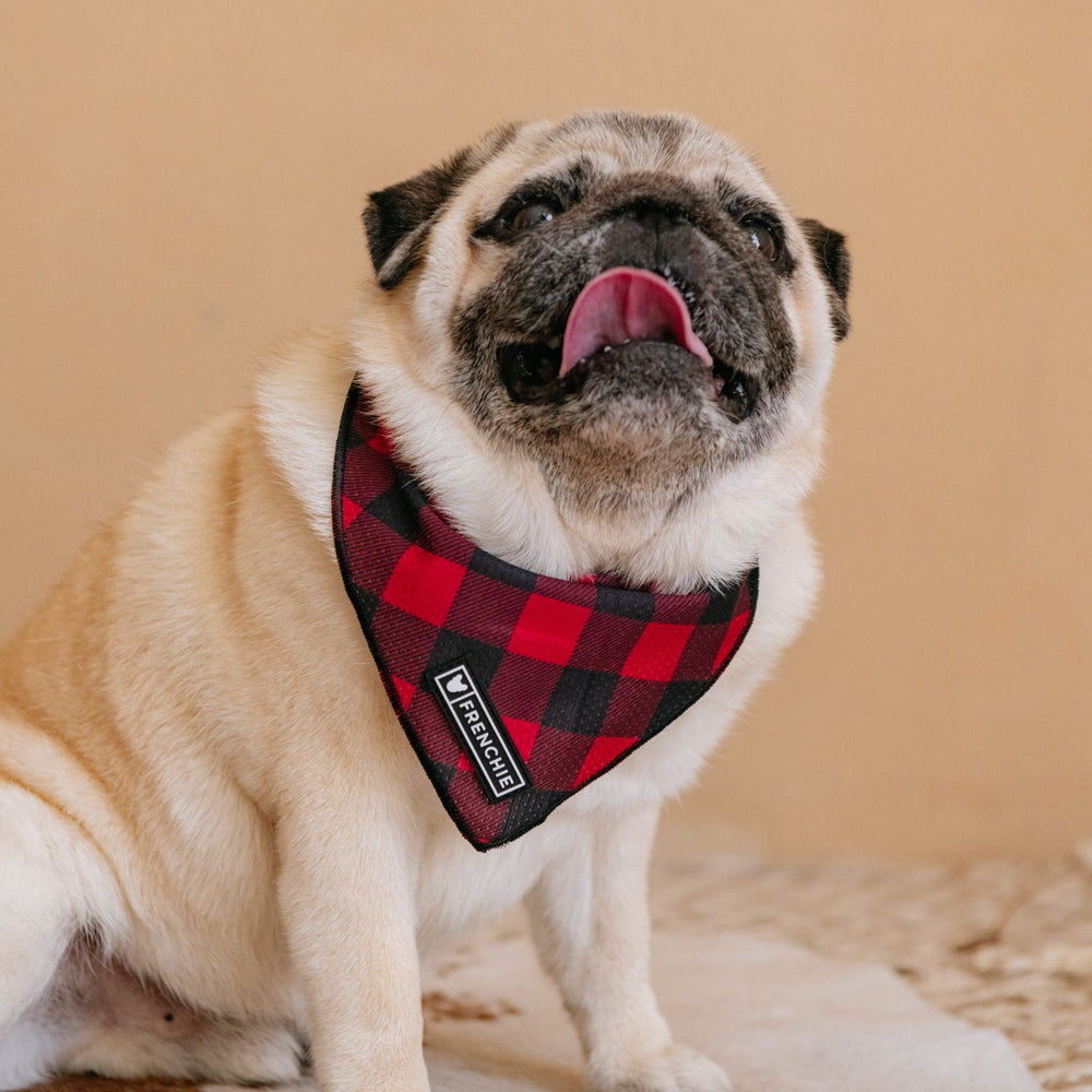 Frenchie Cooling Bandana - Red and Black Plaid
