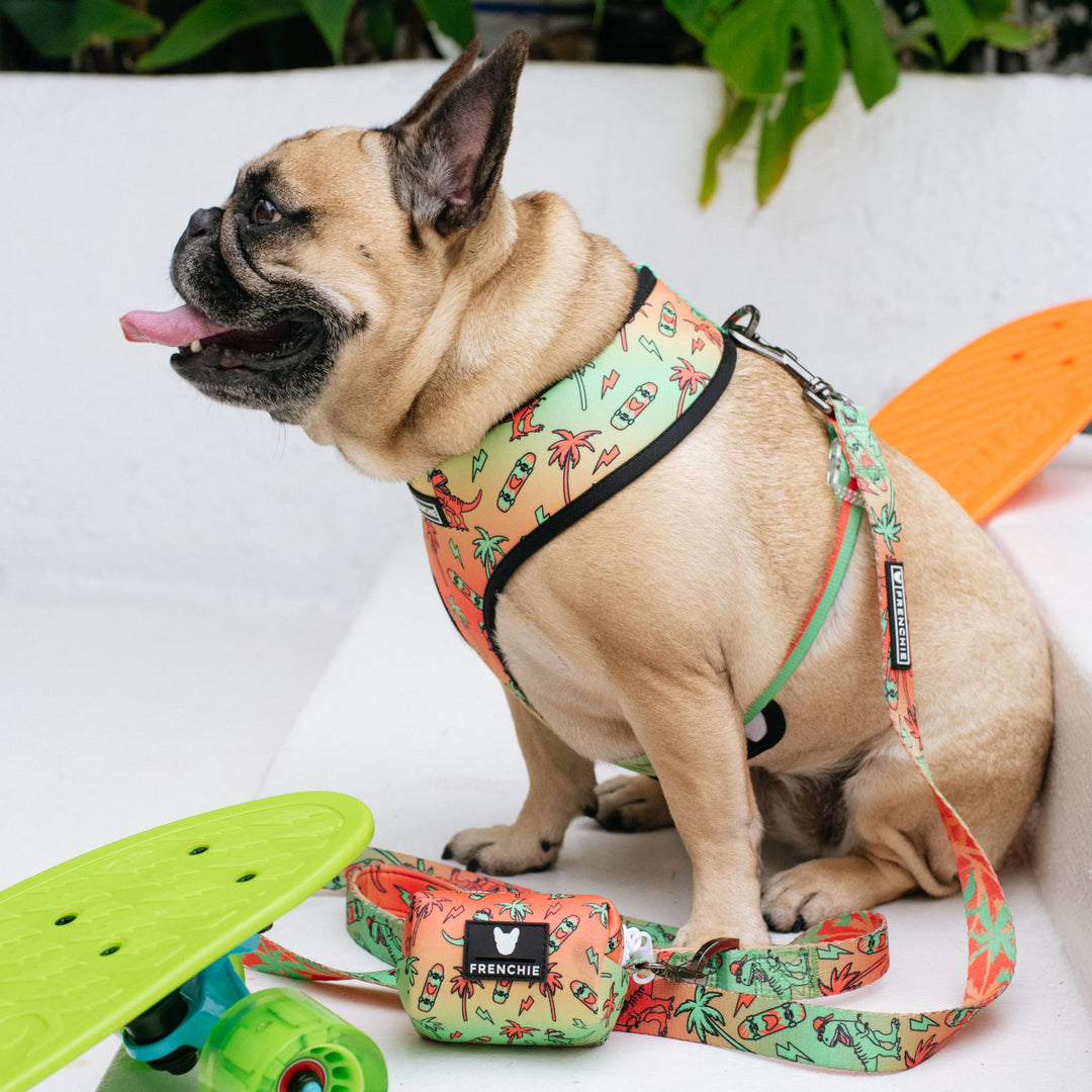 Frenchie Comfort Leash - Retro Dino