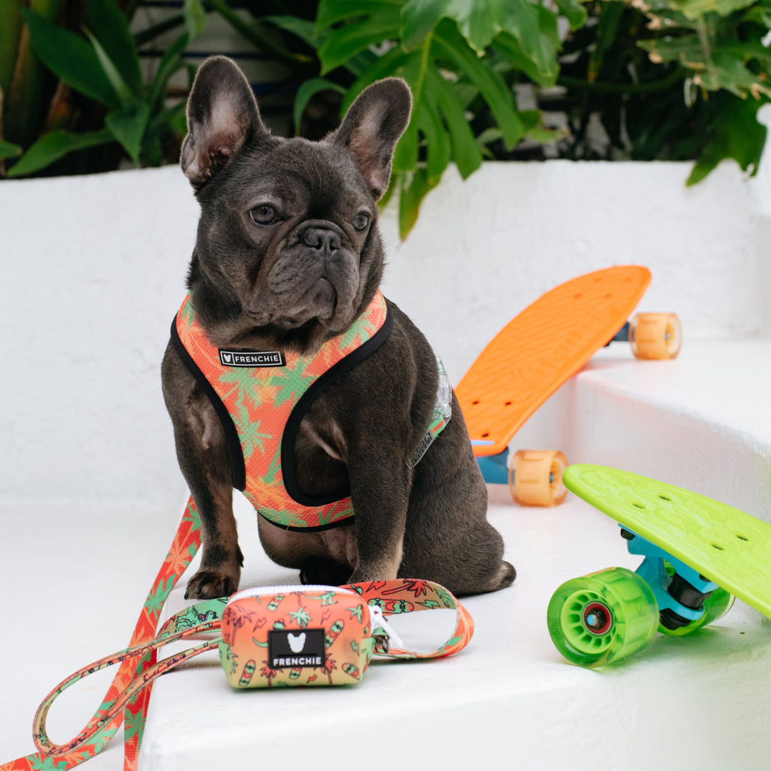 Frenchie Comfort Leash - Retro Dino