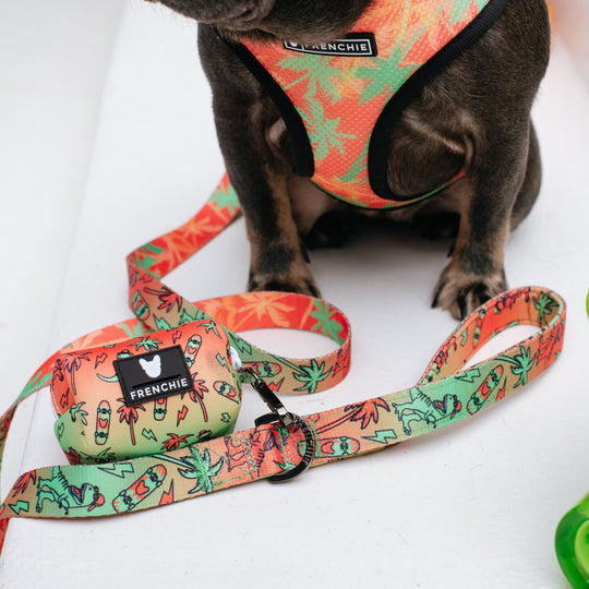 Frenchie Comfort Leash - Retro Dino