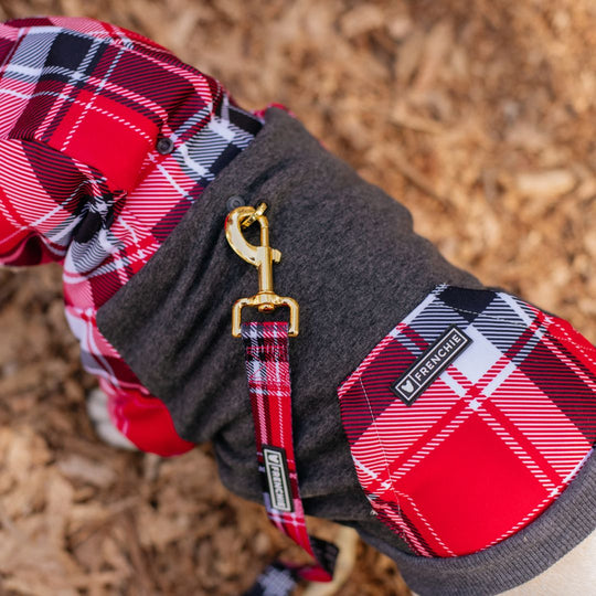 Frenchie Dog Hoodie - Scarlet Plaid