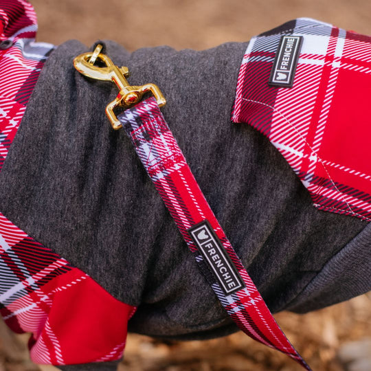 Frenchie Dog Hoodie - Scarlet Plaid