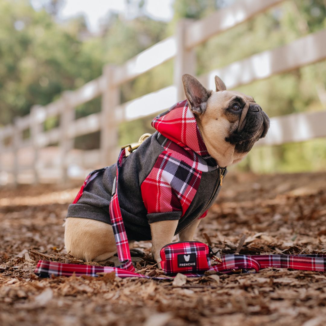 Frenchie Dog Hoodie - Scarlet Plaid