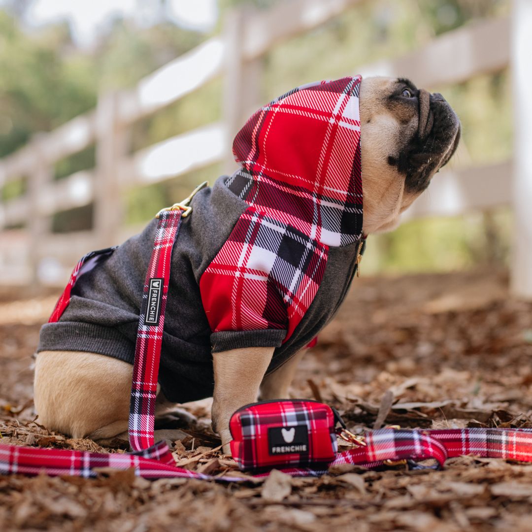 Frenchie Dog Hoodie - Scarlet Plaid